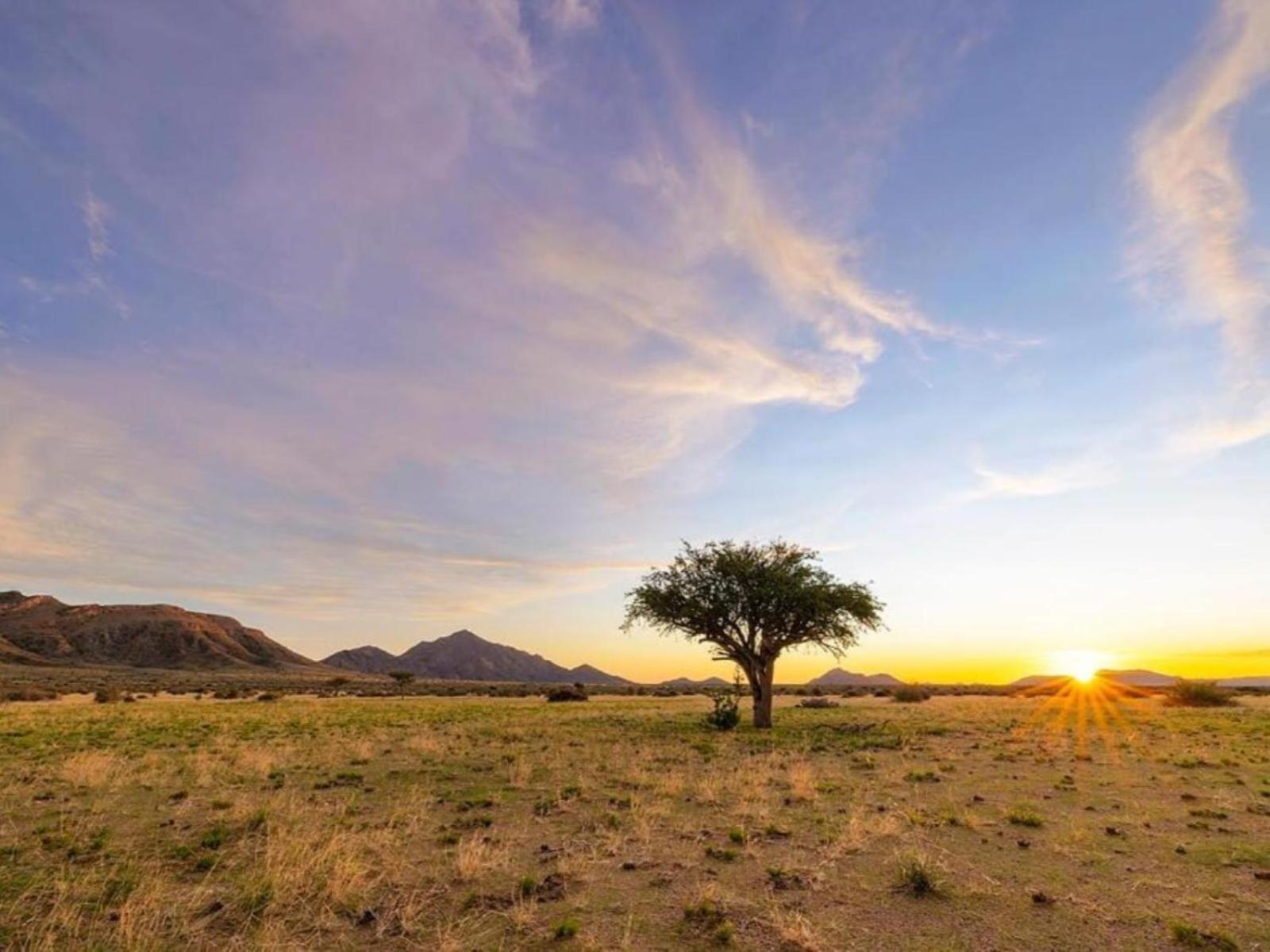 Camp Gecko - Private Nature Reserve; Tented Camp And Campsite Солътер Екстериор снимка